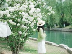 -漕湖湿地公园
