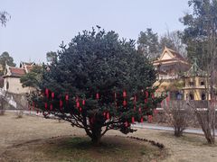 -报恩禅寺