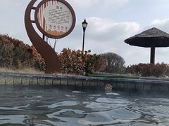-青岛海泉湾度假区温泉