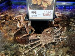 鲜活帝王蟹-盒马鲜生(岭南新世界店)
