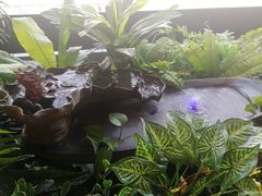 -东方之珠洗浴休闲广场(南开店)