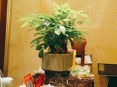 -小八仙·宴(三峡茶庄店)