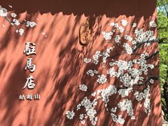 -嵖岈山风景区