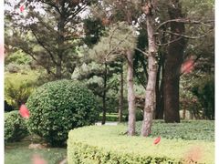 -迎泽公园