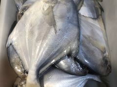 新鲜-春芳饺子馆(海德公园店)