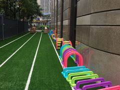 -蒙田森·蒙特梭利幼儿园(锦西园区)