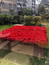 -上海玫瑰医疗美容医院