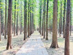 -江苏三台山国家森林公园
