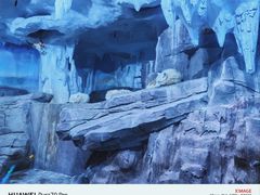 -多彩贵州城极地海洋世界