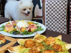 -沏点Trattoria意大利餐厅(新街口店)