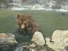 -北京野生动物园