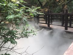 -北京西山国家森林公园