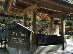 -瑞凤殿