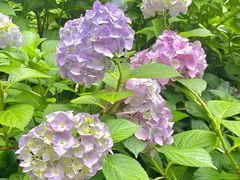 -常州古运河南大街文化旅游区-人民公园