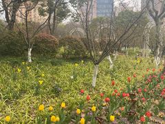 -黄兴公园