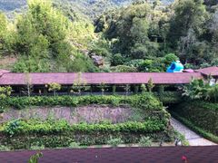 -韶关经律论国际酒店温泉