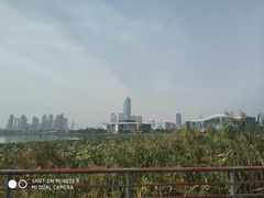 -月湖风景区
