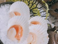 扇贝-湊湊火锅·茶憩(打浦桥日月光店)