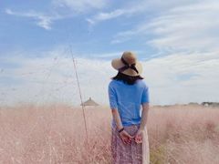 -映月湖中央公园