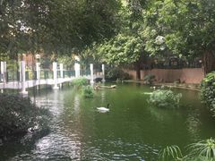 -九龙公园