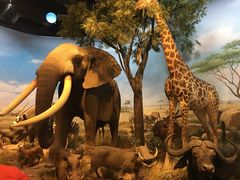 -陕西自然博物馆