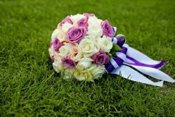 点击看大图 android_upload_pic-醉库庄园·宴会厅·草坪婚礼场地