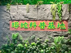 -呀诺达热带雨林