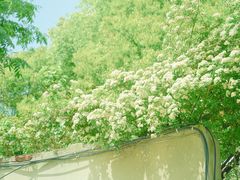 -颐和路民国时期公馆风貌区