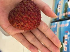 乐乐鲜果(解放南路店)-乐乐鲜果(解放南路店)