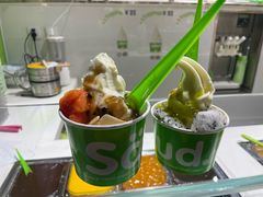 -Salud撒露欧洲冻酸奶(北苑上品店)