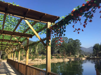 双龙山水农家乐