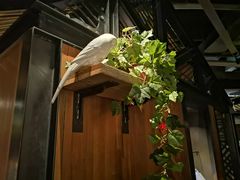 -外婆家(西溪印象城店)