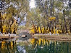 -长白岛森林公园