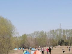 -长白岛森林公园