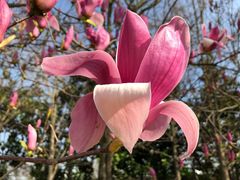 -钟山体育运动公园