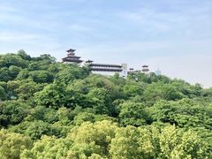 -武汉关码头(轮渡站)