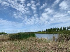 -春花秋色城市公园