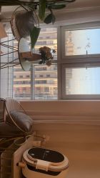 -演员的秘密·皮肤管理