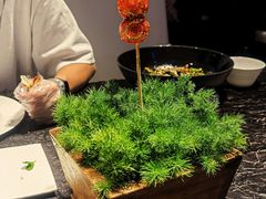串糖葫芦-大董(福田皇庭中心店)