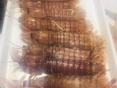 -大连海鲜斑鱼火锅(安平店)