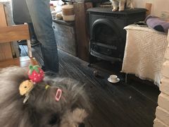 -春风十里咖啡馆