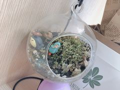 -Husky Go! 哈士奇体验馆·宠物咖啡厅狗咖