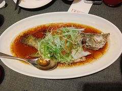 -新吉士·上海菜(浦东LCM置汇旭辉店)