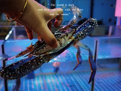 -渔人湾码头海鲜市场负二楼