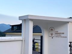 -江南天池