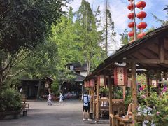 -青城甲(青城山店)