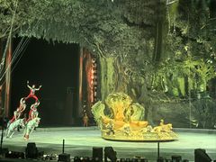 -广州长隆国际大马戏