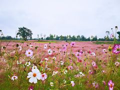-汉长安城未央宫国家考古遗址公园