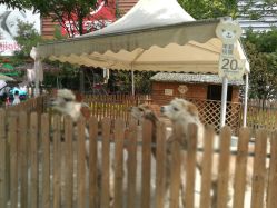 -萌宠亲子动物乐园(槐房万达店)