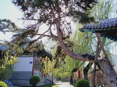 -迎泽公园